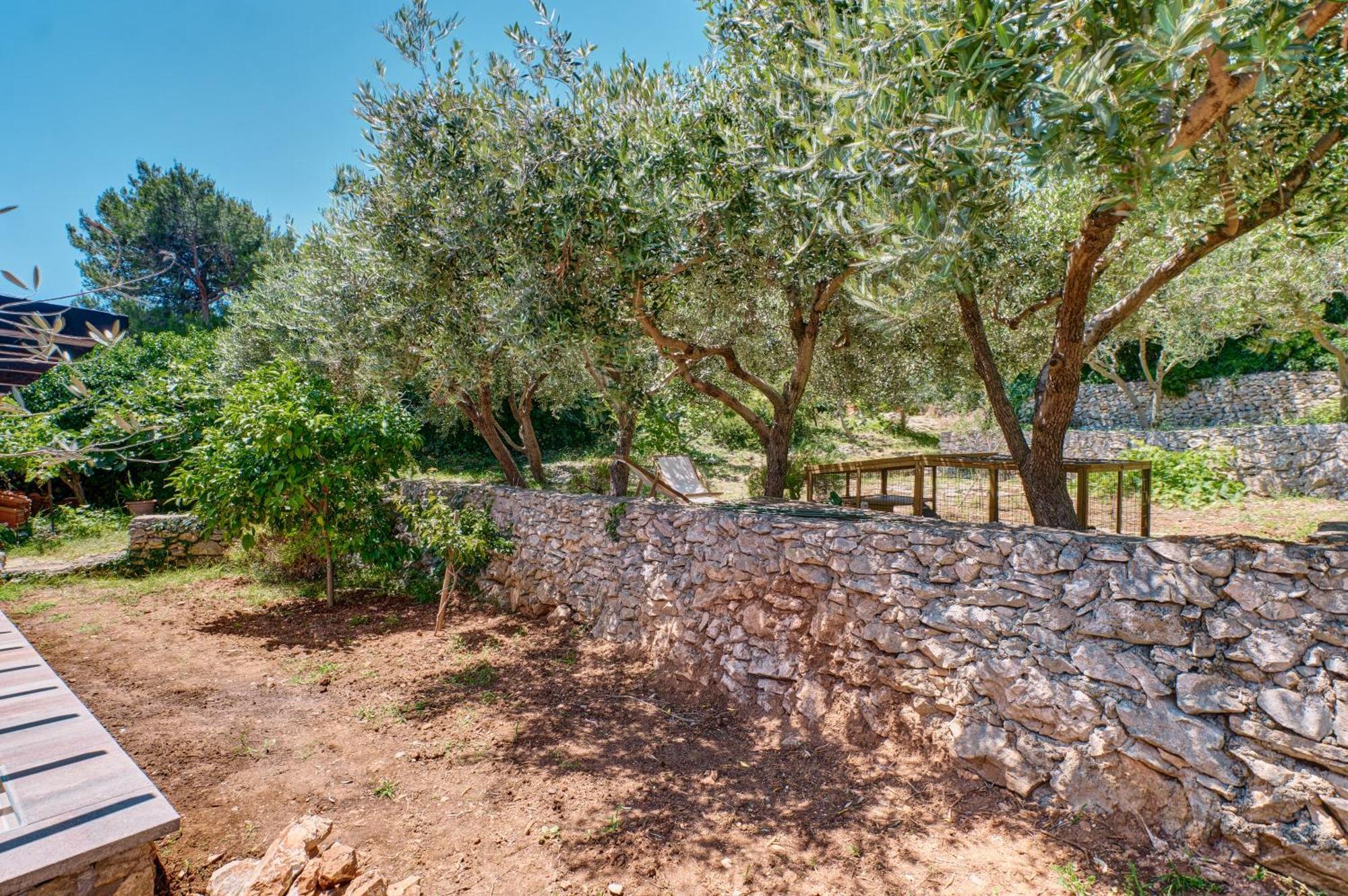 Providenca Accommodation Mali Lošinj Exteriör bild
